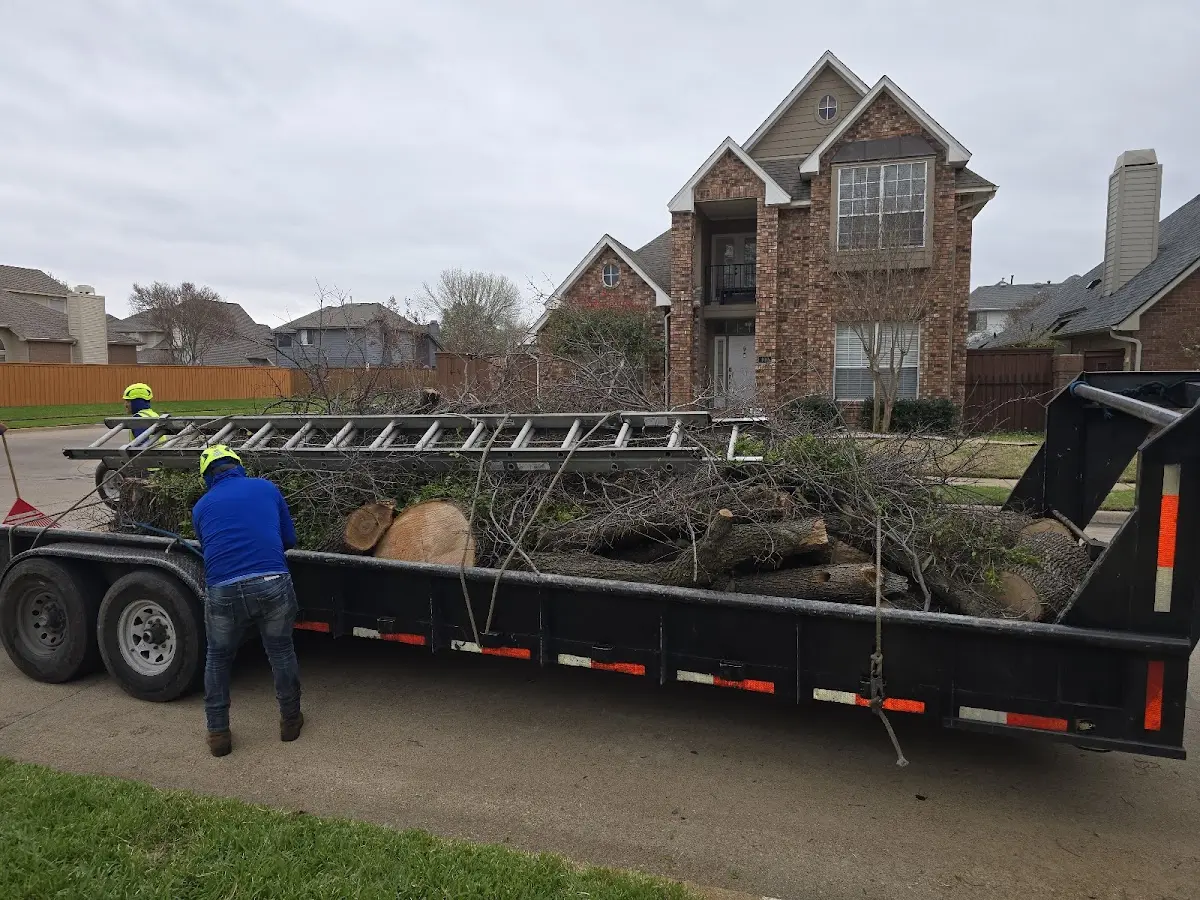 Expert Tree Fertilization with proper safety equipment in Crandall